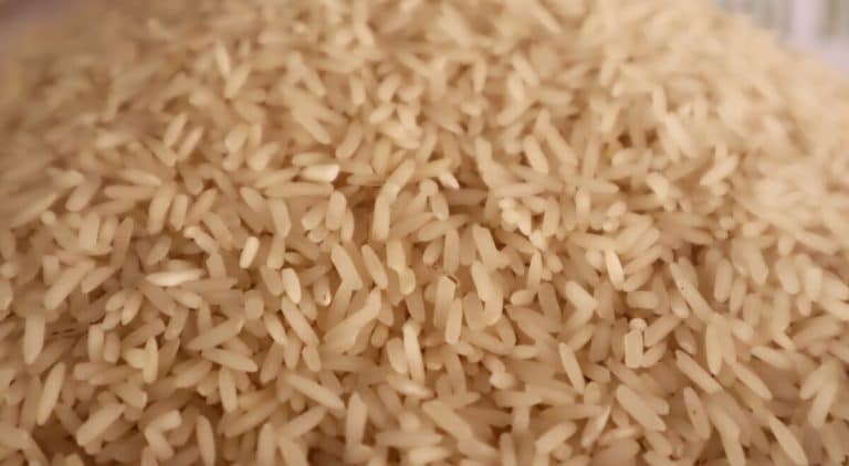Cambodian rice crowned best in world, bringing national pride and new opportunities for farmers