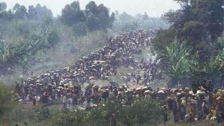 Expert warns release of international records detailing Thai army killings of Cambodian refugees